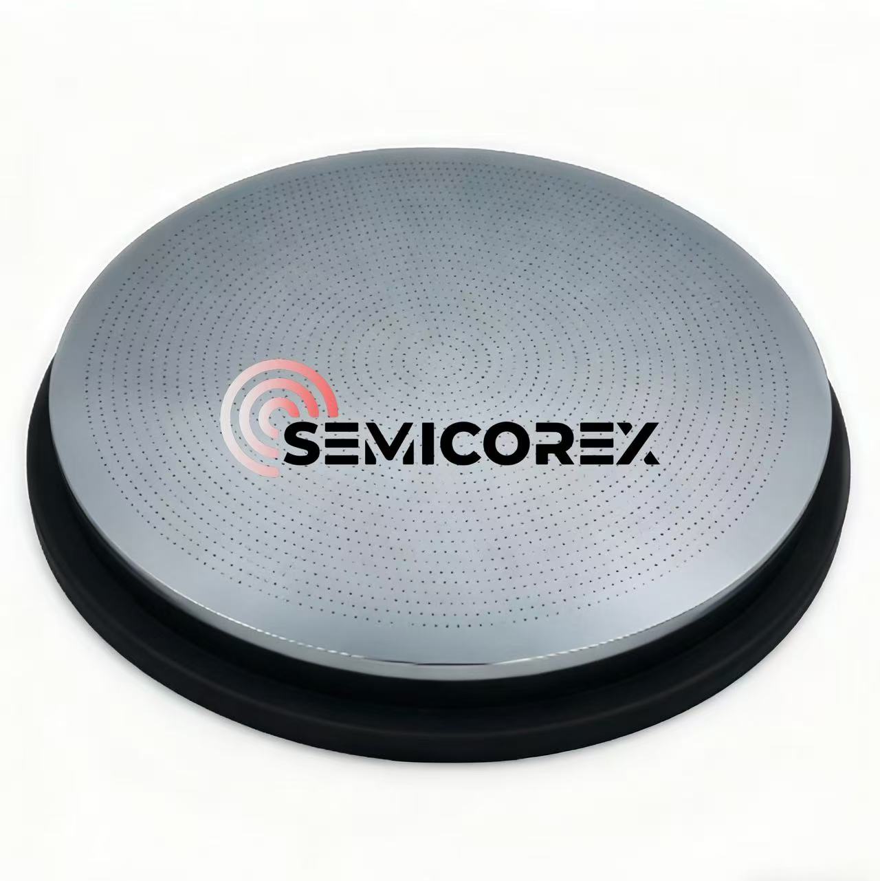 Vieno kristalo silicio dušo galvutė